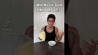 Will Mastic Gum FIX YOUR GUT?