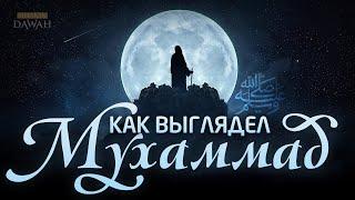 КАК ВЫГЛЯДЕЛ ПРОРОК МУХАММАД? - Али Хаммуда Подробное описание Пророка ﷺ