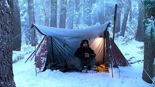 Hot Tent Snow Camping In Old Growth Forest  Wood Stove Cheese Steak