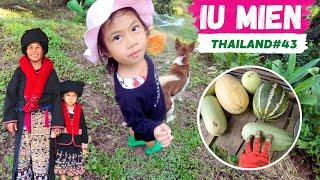 Iu Mien Thailand EP43  Iu Mien vegetable garden