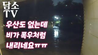 6월23일 뚜벅이대리기사 운행일지폭우 속 대리운전짧게 대리운전하기담소TV