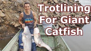 Missouri River Trotlining for Giant Catfish
