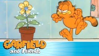Daisy Waisy - Garfield & Friends 