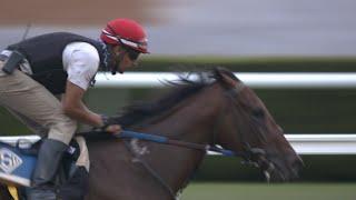 Breeders Cup Profile Flightline