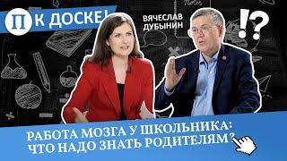 Работа мозга у школьника что надо знать родителям? Вячеслав Дубынин