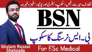 BS.Nursing  BSN  Scope of Nursing  AdmissionMeritfeeJobs and medical Colleges