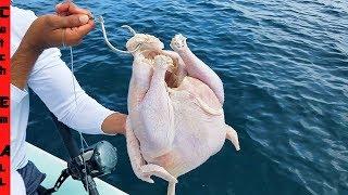 FISHING with a CHICKEN