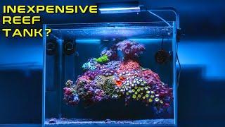 INEXPENSIVE REEF TANK. IS THIS POSSIBLE?