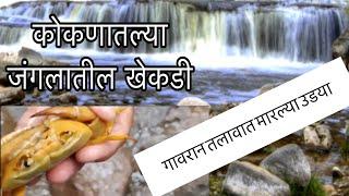 खेकडे पकडण्याची कोकणातली रानातली मजा  Crab Hunting In Kokan Forest  Tejasvlog  Marathi Vlogger