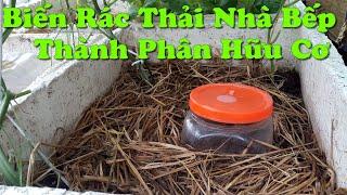 Tái Chế Chai Lọ Nhựa Cũ Để Biến Rác Thải Nhà Bếp Thành Phân Bón Hữu Cơ