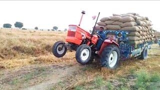 Excellent Performance Of Fiat 480 Tractor Pulling The Wheat Loaded Trolley In Fields With Power 