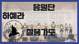 청주교대 응원단 하예라 2023 새내기 배움터 공연 #4  질풍가도 치어리딩