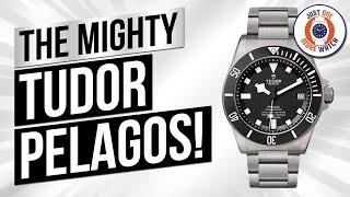 The Tudor Pelagos Is Mighty  But I Still Have 3 Complaints......