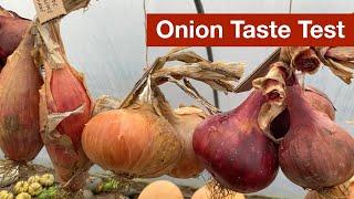 The Best Onion Varieties for Growing Storing and Eating
