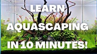 Complete Aquascaping Beginners Guide - Learn ALL The Basics