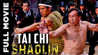 Tai Chi Shaolin Superhit Chinese Hindi Dubbed Movie  Best Kung Fu Movie superhits kungfu movie