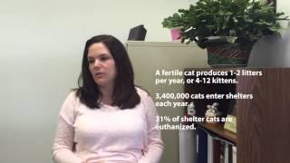 MBM Spay & Neuter Clinic Cat Fund