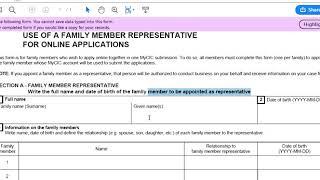 IMM 5713E USE OF A FAMILY MEMBER REPRESENTATIVE FOR ONLINE APPLICATIONS