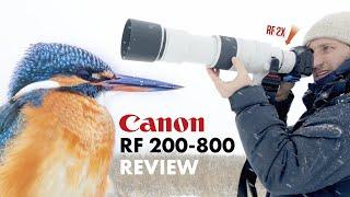 Canon RF 200-800 Praxis Test  Besser als Supertele?