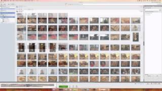 Tutorial How to Get Your Photos Out of Picasa