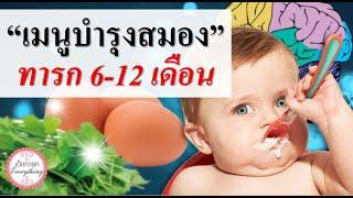 อาหารเด็กทารก  รวมเมนูบำรุงสมองทารก 6-12 เดือน   อาหารบำรุงสมองทารก  เด็กทารก Everything