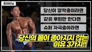 당신이  열심히 운동해도 변하지 않는이유 feat. 이다운