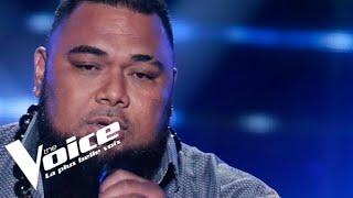 James Brown – Its a Mans Mans Mans World  Jimmy  The Voice France 2020  Blind Audition