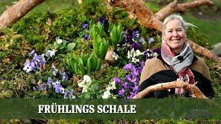 Meine Frühlings Schale Blau-weiße Wunderwelt der Blüten