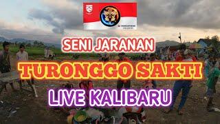 TURONGGO SAKTI - LIVE KALIBARU