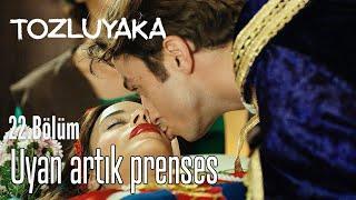 Uyan Artık Prenses - Tozluyaka 22. Bölüm