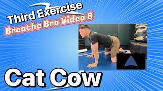 Cat-Cow Breathwork Exercise