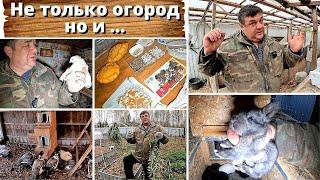 огород и