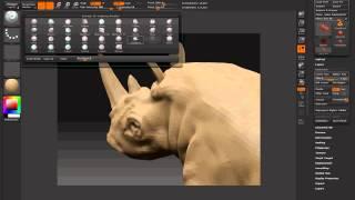 Sculpt a Photorealistic Rhino in ZBrush