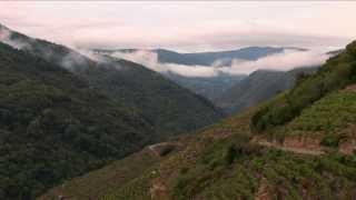 Ballet de nieblas en la Ribeira Sacra