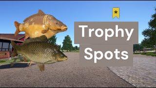 2x Trophy Carp Spots  Amber Lake  RF4  Russian Fishing 4