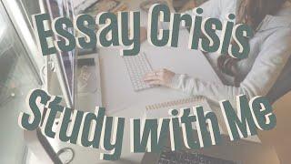 Essay Crisis Study with Me  Yale PhD Student  Study Beats Lofi Music