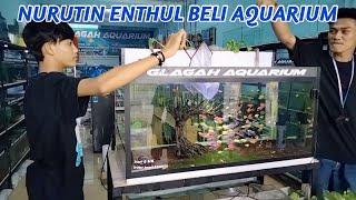 NURUTIN ENTHUL BELI AQUARIUM