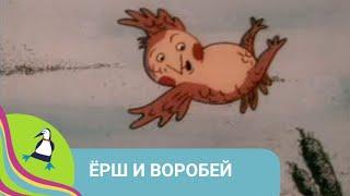 ‍‍‍ БЕЛАРУСЬФИЛЬМ Осторожно кенгуру Фильм в HD. STARMEDIAKIDS