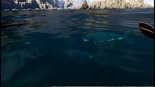 kayak vr SHARKS Oculus questrift via PC