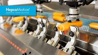 GFX High Speed Sorting Application  HepcoMotion Case Study