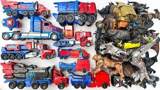 Optimus Primal & Optimus Primes Fatality - Transformers Maximals Assemble Robot Tobot Beasts Movie