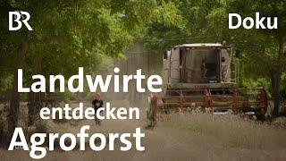 Ackern unter Bäumen Landwirte entdecken den Agroforst  DokThema  Doku  Klimawandel  BR