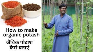 How to make organic potash by akash chourasiya जैविक पोटाश कैसे बनाएं