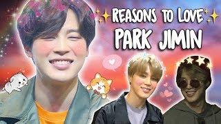 Reasons to Love BTS Jimin Version