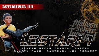 DJ BANTENGAN‼️LESTARI1 STYLE KALAPAN BY DJ ILMI PROJECT