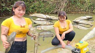 The girl uses a motor to drain the water and catch all the big fish living her daily life.