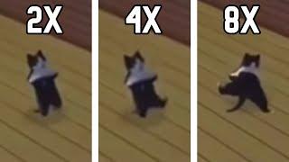Sims Cat Breakdancing but it keeps getting faster Sped Up
