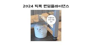 2024 틱톡 랜덤플레이댄스랜플랜덤플레이댄스틱톡틱톡랜플20232024최신곡