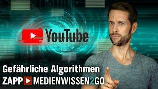 Das Problem mit den Algorithmen  MedienWissen2go  ZAPP  NDR