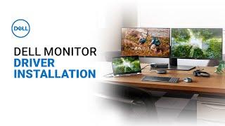 Find Dell Monitor Drivers & Manuals  Monitor Not Detected Windows 11 Official Dell Tech Support